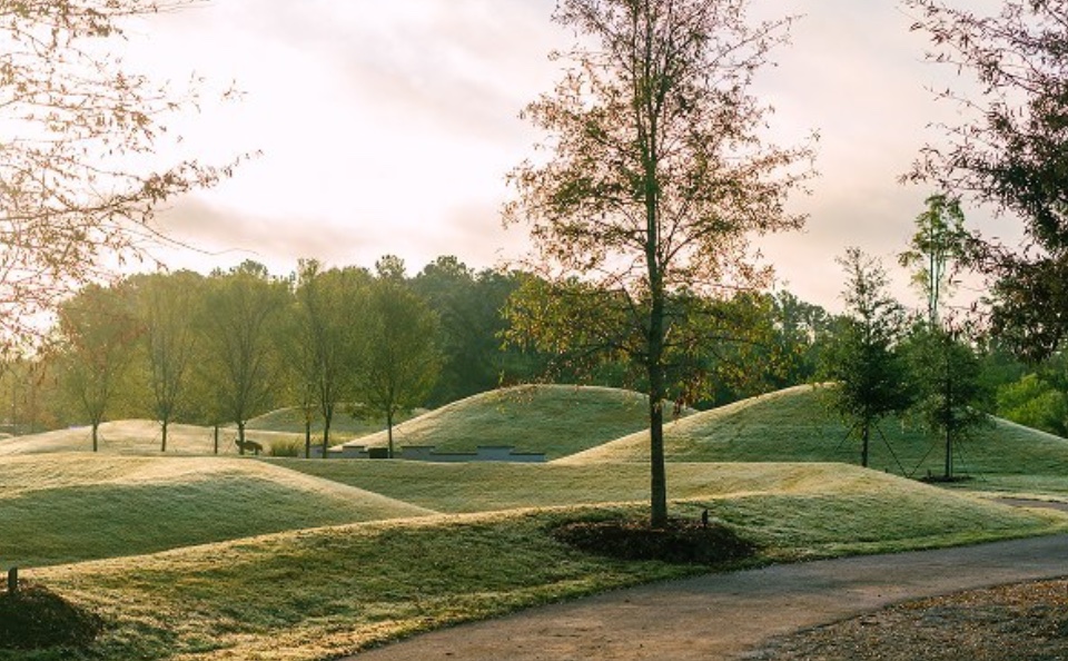 Existing green space and trails at Point Hope.