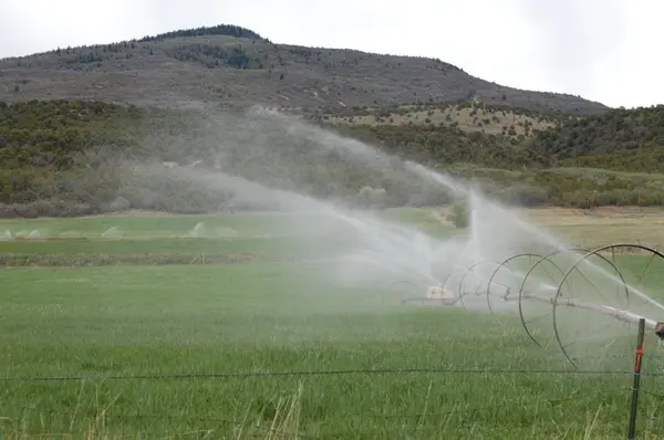 Water Rights and Shares in Fairview: What Acreage Buyers Need to Know,Sadie Wake