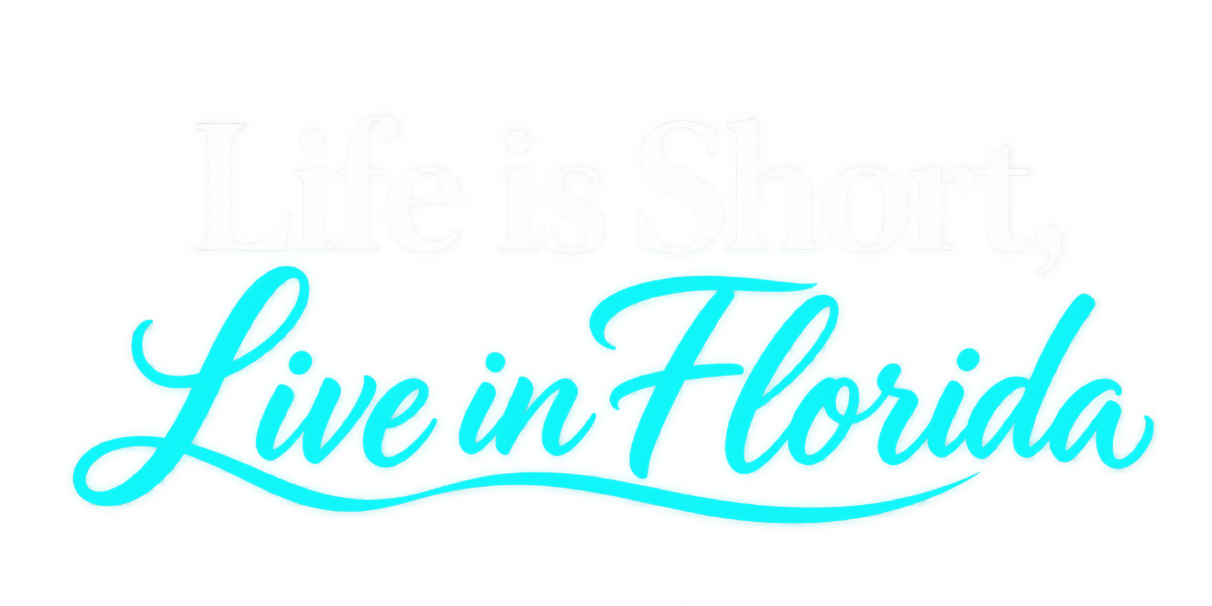 It's Time for Florida brand artwork