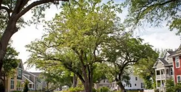 From Historic Charm to Golf Communities: Finding Your Place in North Charleston