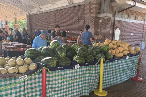 feature image of Winter Garden Farmers Market: A Local Guide to Saturday Mornings Downtown