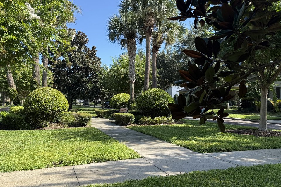 A landscaped sidewalk with palms and shrubs near Lake Hancock in Horizon West, Winter Garden, Florida