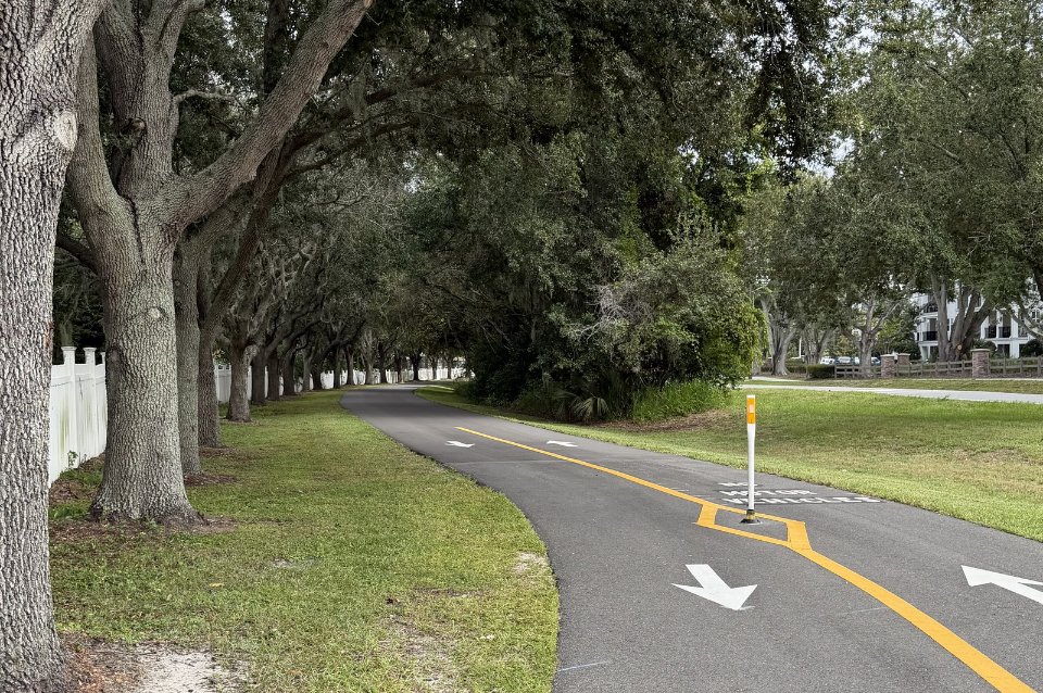 Paved West Orange Trail with a yellow center line and arrows beneath live oaks near Oakland, Florida