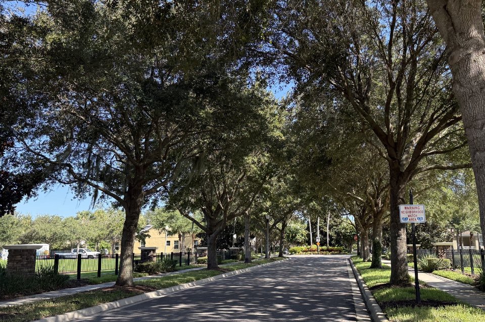 A tree-lined street near Lake Hancock in Horizon West, Winter Garden, Florida