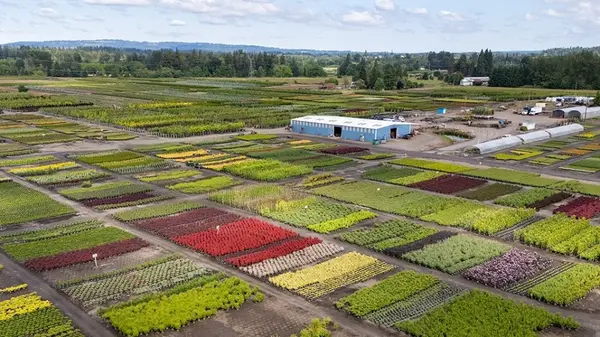 Canby’s Future Growth: What the City’s Planning Documents Mean for Homebuyers