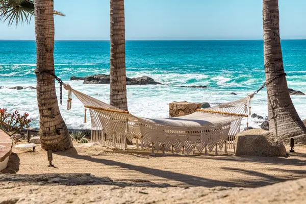 Thinking about investing in Cabo San Lucas in 2026? 🌅💸
Experts predict that beachfront properties and eco-friendly developments will be the hottest investments this year. 🏖️
With tourism on the rise and infrastructure projects underway, rental yields are set to climb 

