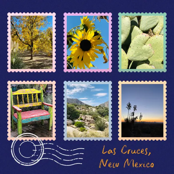 ✨ From breathtaking mountain views to unforgettable sunsets, Las Cruces truly has it all. 🌵🏔️ Learn more about Las Cruces and see all the homes for sale at https://lascruceshometeam.com/