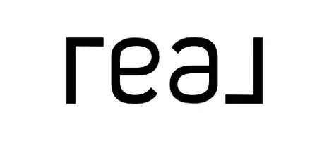 Real Broker LLC