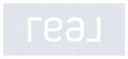 Angelica Kisel - Steve Robe Elite Team - Real Broker, LLC