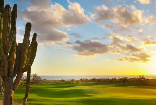 Golf Communities Compared: Diamante, Querencia, and Cabo del Sol