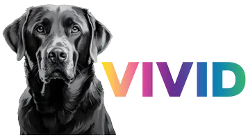 VIVID Property Group