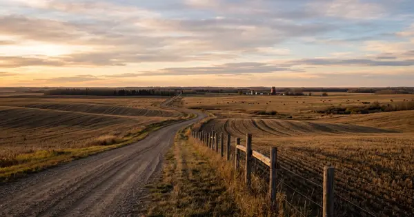 Alberta Farmland Values Up 11.4% in 2026