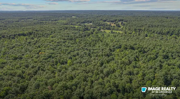 Buying Land in Northeast Arkansas: How to Evaluate a Property Before You Buy