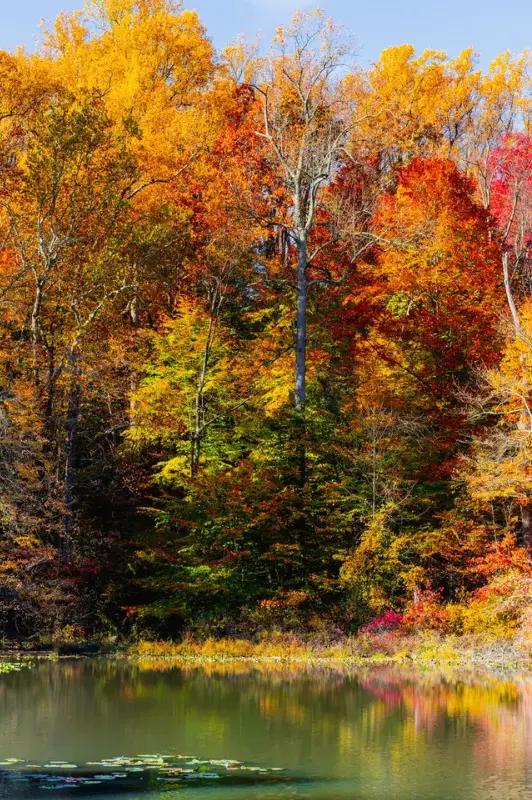 Your Fall Guide to Medford & Beyond 